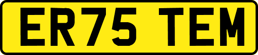 ER75TEM