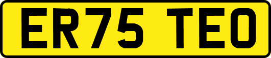 ER75TEO