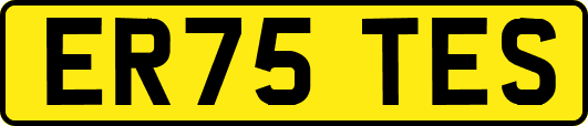 ER75TES