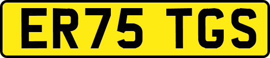 ER75TGS