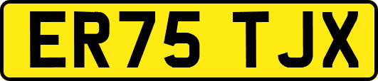 ER75TJX