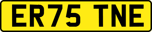 ER75TNE