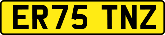ER75TNZ