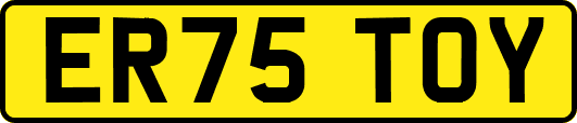 ER75TOY