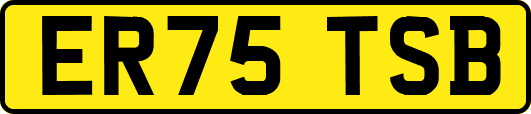 ER75TSB