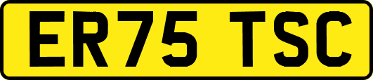 ER75TSC
