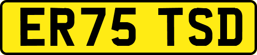 ER75TSD