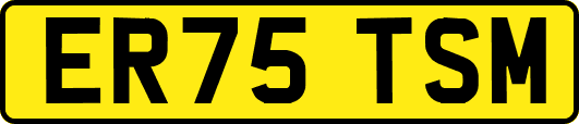 ER75TSM