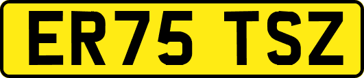 ER75TSZ