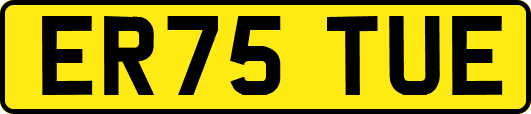 ER75TUE