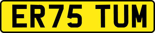 ER75TUM