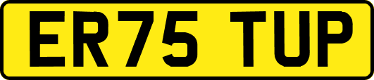 ER75TUP