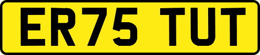 ER75TUT