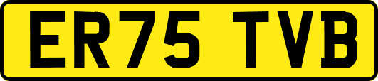 ER75TVB