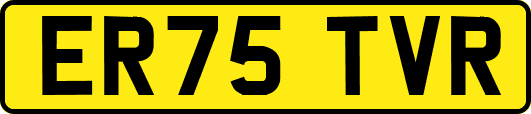 ER75TVR