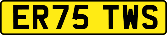 ER75TWS
