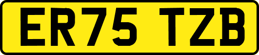 ER75TZB
