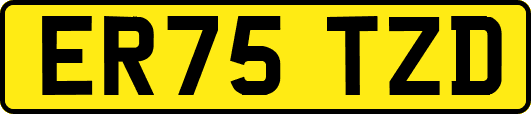 ER75TZD