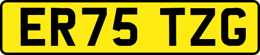 ER75TZG