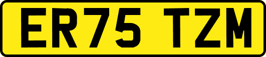 ER75TZM
