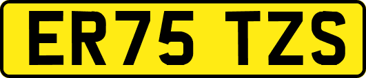 ER75TZS