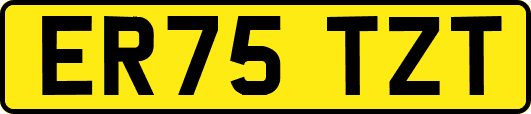 ER75TZT
