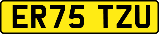 ER75TZU