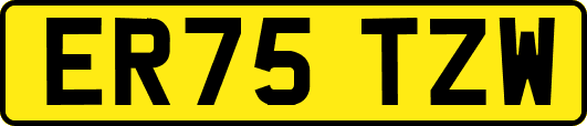 ER75TZW
