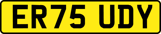 ER75UDY