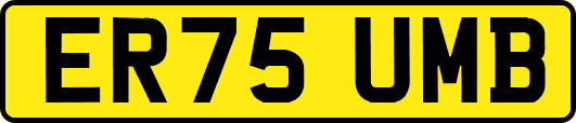 ER75UMB