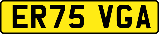 ER75VGA