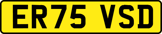 ER75VSD