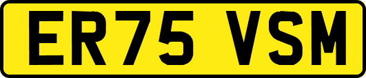 ER75VSM