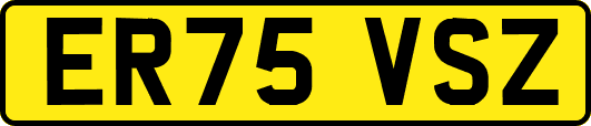 ER75VSZ