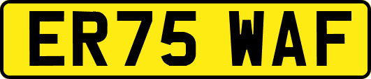 ER75WAF