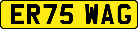 ER75WAG