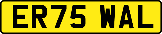 ER75WAL