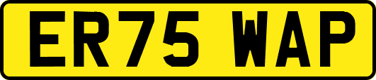 ER75WAP