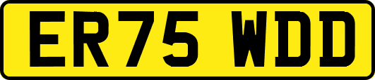 ER75WDD