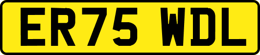 ER75WDL