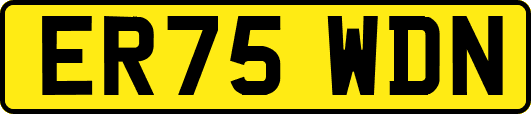 ER75WDN