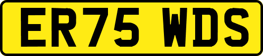 ER75WDS