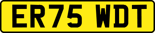 ER75WDT