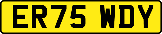 ER75WDY