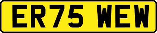 ER75WEW
