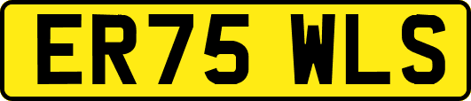 ER75WLS