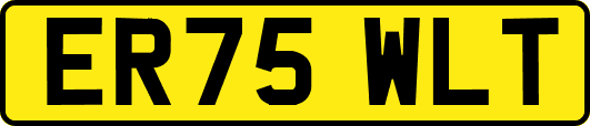 ER75WLT