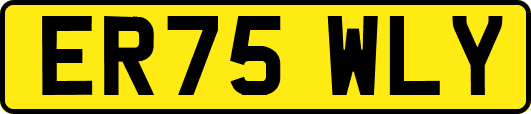 ER75WLY