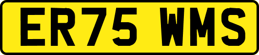 ER75WMS