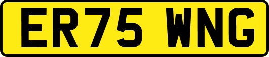 ER75WNG